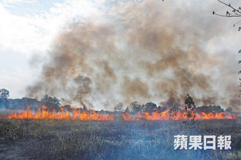 ■南生圍連續兩日發生大火,至少6公頃林木被燒毀。徐雲庭攝■從航拍可見,南生圍多處變成焦土。■立法會議員鄺俊宇到場視察,對南生圍再遇火劫感痛心。■直升機向火場投擲水彈。 ■南生圍連續兩日發生大火,至少6公頃林木被燒毀。徐雲庭攝■從航拍可見,南生圍多處變成焦土。■立法會議員鄺俊宇到場視察,對南生圍再遇火劫感痛心。■直升機向火場投擲水彈。
