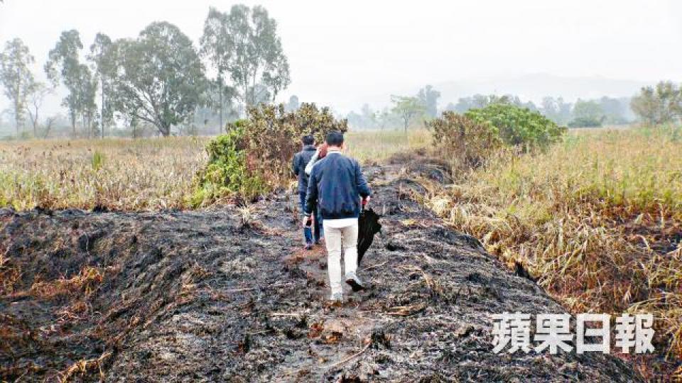 ■南生圍路一處燒過位置有樹木冒煙，消防到場灌救。
