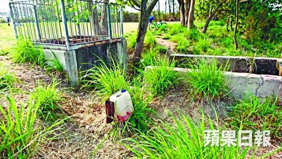 ■有市民指在南生圍一處草叢,發現一個白色膠桶,裏面載着疑似油渣。
■有市民指在南生圍一處草叢,發現一個白色膠桶,裏面載着疑似油渣。