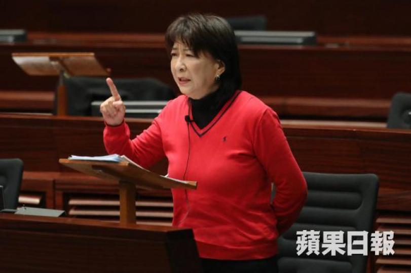 ■蔣麗芸稱經過補選後，建制派在九西可做到「坐二望三」。資料圖片