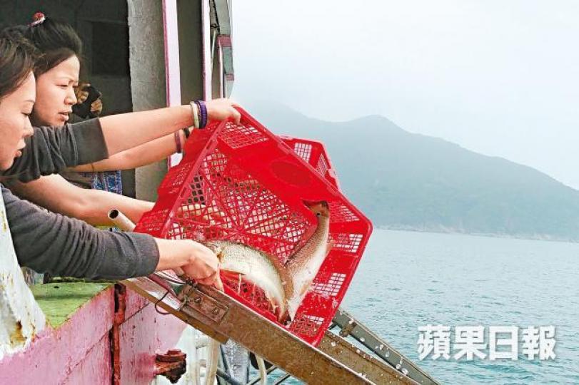 ■有善信從船上把魚倒進斜道,送進海中。夏家朗攝■有漁船工人將一籃籃養殖魚送上小輪。■小輪上有大批善信排隊,準備將養魚放生。■小輪設壇舉行儀式,有近20位喇嘛誦經。 ■有善信從船上把魚倒進斜道,送進海中。夏家朗攝■有漁船工人將一籃籃養殖魚送上小輪。■小輪上有大批善信排隊,準備將養魚放生。■小輪設壇舉行儀式,有近20位喇嘛誦經。