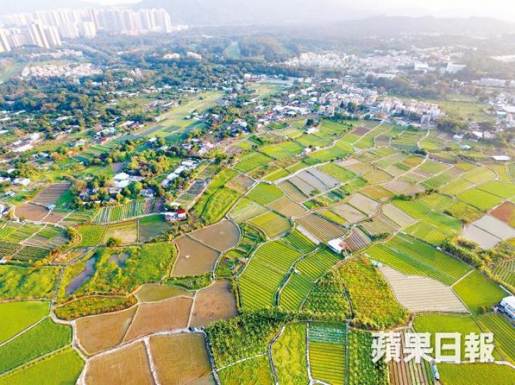 ■新公私營合作建議開發農地建屋。資料圖片