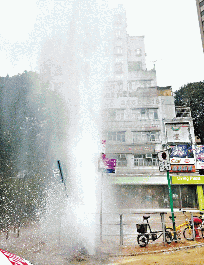 ■大埔廣福道昨爆水管,水柱擊落附近鳥巢。區議員黃碧嬌提供圖片■一隻初生夜鷺濕透倒地。 ■大埔廣福道昨爆水管,水柱擊落附近鳥巢。區議員黃碧嬌提供圖片■一隻初生夜鷺濕透倒地。