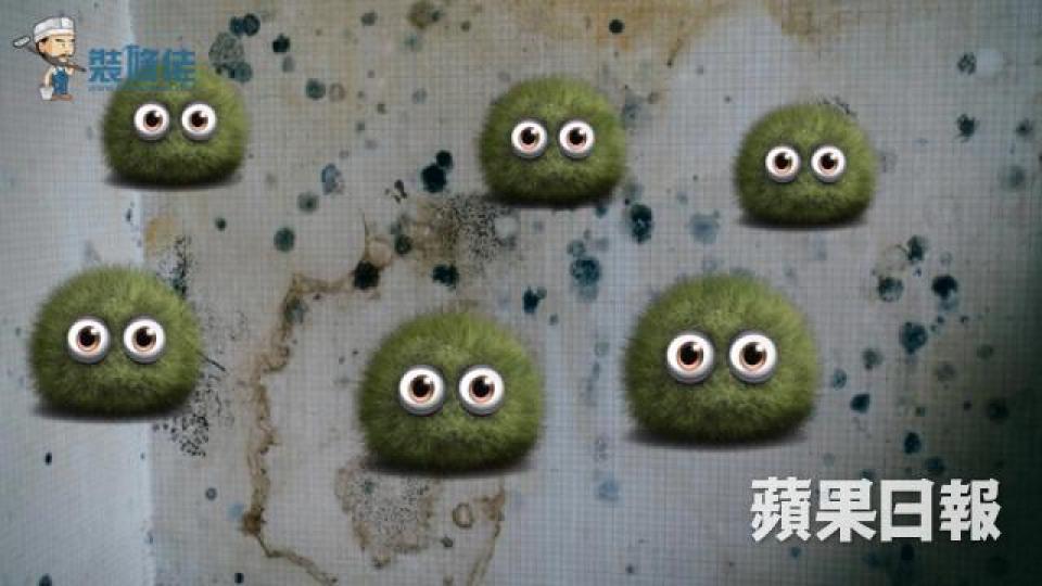 回南天牆身常有「出水」情況,容易滋生霉菌。由菜膠福粉做的批盪,因含有機物,經常成為霉菌溫床。牆紙、牆布保養不善,亦易出現發霉問題。木傢俱於潮濕環境中,都有機會被霉菌侵襲。裝修妹:Pizza姐姐,90後,屋企從事裝修生意,加入裝修佬平台3年,主要負責繪畫平面圖及協助供應商處理一般客戶建材問題。 回南天牆身常有「出水」情況,容易滋生霉菌。由菜膠福粉做的批盪,因含有機物,經常成為霉菌溫床。牆紙、牆布保養不善,亦易出現發霉問題。木傢俱於潮濕環境中,都有機會被霉菌侵襲。裝修妹:Pizza姐姐,90後,屋企從事裝修生意,加入裝修佬平台3年,主要負責繪畫平面圖及協助供應商處理一般客戶建材問題。
