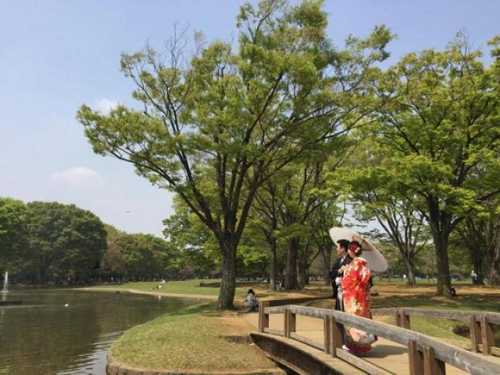 ■在代代木公園遇上一對新人在水池邊拍攝婚照。作者提供圖片■新人穿着和式結婚禮服，在萬綠叢中，煞是好看。作者提供圖片