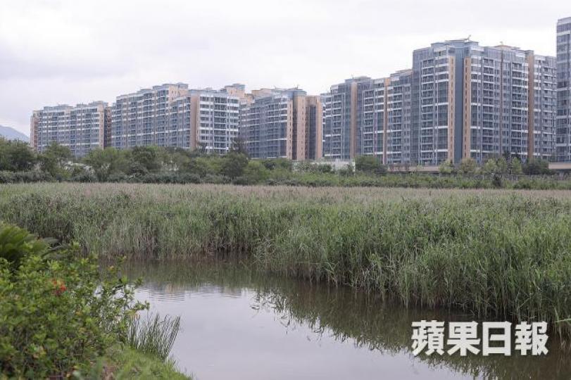 ■新地峻巒 ■新地峻巒
