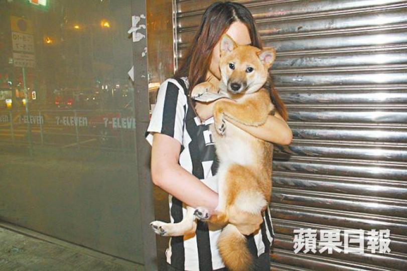 ■女事主獲街坊告知失蹤柴犬下落,最終到警署領回柴犬。 ■女事主獲街坊告知失蹤柴犬下落,最終到警署領回柴犬。