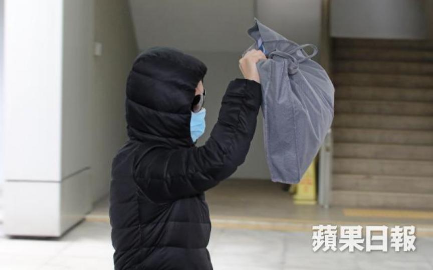 ■女被告承認在內地時無掛念林林。林家皓攝 ■女被告承認在內地時無掛念林林。林家皓攝