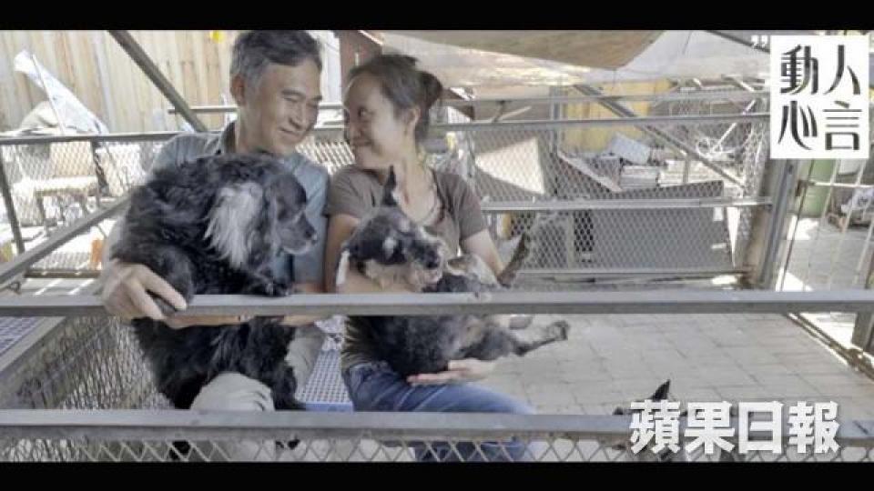 洪生洪太希望建立老有所依動物村。佢哋收養好多年紀大咗先被遺棄嘅毛孩。當中都有殘缺嘅狗狗,好似怪獸,因為佢無咗左眼,喺兩個月大嘅時候被收養。洪太最唔捨得陪伴15年嘅福福,一齊共過患難。洪生洪太希望每隻狗都帶着愛離開世界,記得曾經有阿媽阿爸錫!洪生會喺周末去燒烤場收集食物,再經處理,畀流浪狗食。60歲嘅洪生一直都係狗場嘅經濟支柱,但近半年因為身體問題而失業。加上狗場地陷需要大遷徙,足襟見肘,面臨困局。佢哋將要喺6月前搬往大埔。選址原本係一片大草地,現時已經剷草,正在施工。洪生洪太留起每一隻毛孩嘅骨灰 洪生洪太希望建立老有所依動物村。佢哋收養好多年紀大咗先被遺棄嘅毛孩。當中都有殘缺嘅狗狗,好似怪獸,因為佢無咗左眼,喺兩個月大嘅時候被收養。洪太最唔捨得陪伴15年嘅福福,一齊共過患難。洪生洪太希望每隻狗都帶着愛離開世界,記得曾經有阿媽阿爸錫!洪生會喺周末去燒烤場收集食物,再經處理,畀流浪狗食。60歲嘅洪生一直都係狗場嘅經濟支柱,但近半年因為身體問題而失業。加上狗場地陷需要大遷徙,足襟見肘,面臨困局。佢哋將要喺6月前搬往大埔。選址原本係一片大草地,現時已經剷草,正在施工。洪生洪太留起每一隻毛孩嘅骨灰