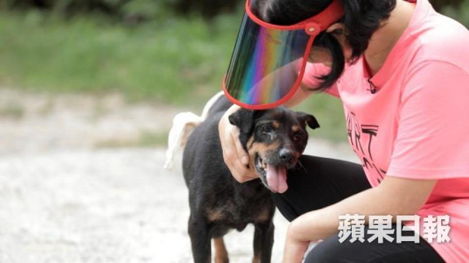 14歲的黑妹在外面漂泊多年,終於在4年前與藍太相遇,從此可以安心回家。每當藍太走出家門,黑妹更會提起勁默默跟在藍太身後,猶如以最大的忠誠,回報對她的感激。黑妹即使患上癌症,仍然求生意志驚人,令藍太決心盡力醫好牠。藍太每年為不少村貓絕育,又安排有心人領養,希望以個人之力減低貓兒的繁殖問題。「或者我同啲小動物係有一種緣份喺度,我覺得佢哋係需要人類嘅幫助。」藍太堅定地說。藍太每日為村內的放養動物提供食物,亦會主動教育村民為寵物絕育。不過偶然也有「走漏眼」,像相中間的阿財,近日便升級為6隻狗仔的媽咪。狗 14歲的黑妹在外面漂泊多年,終於在4年前與藍太相遇,從此可以安心回家。每當藍太走出家門,黑妹更會提起勁默默跟在藍太身後,猶如以最大的忠誠,回報對她的感激。黑妹即使患上癌症,仍然求生意志驚人,令藍太決心盡力醫好牠。藍太每年為不少村貓絕育,又安排有心人領養,希望以個人之力減低貓兒的繁殖問題。「或者我同啲小動物係有一種緣份喺度,我覺得佢哋係需要人類嘅幫助。」藍太堅定地說。藍太每日為村內的放養動物提供食物,亦會主動教育村民為寵物絕育。不過偶然也有「走漏眼」,像相中間的阿財,近日便升級為6隻狗仔的媽咪。狗