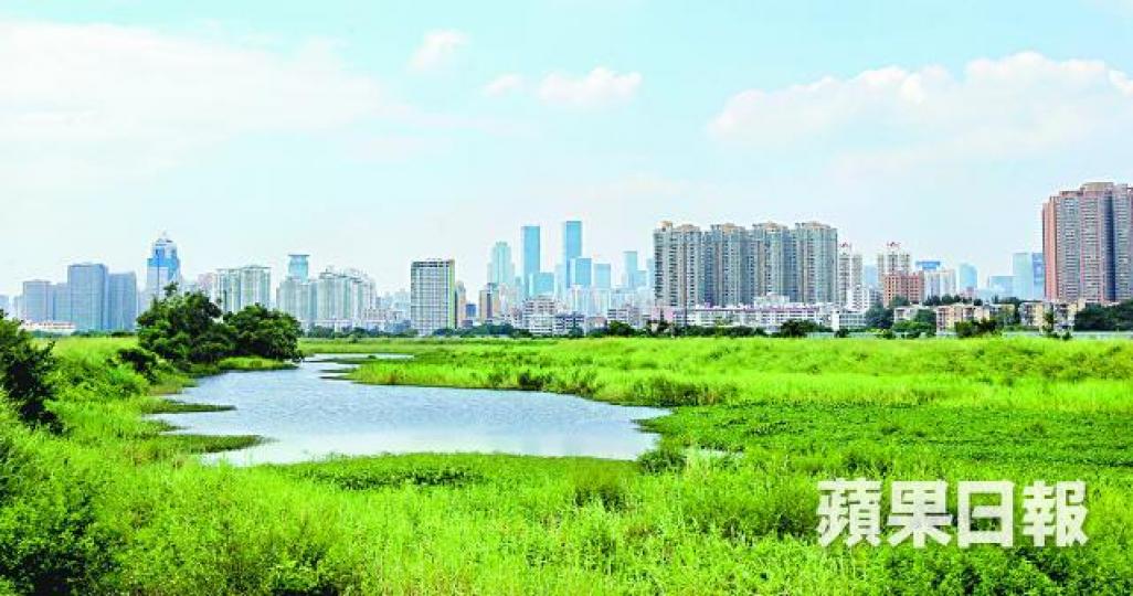 ■蠔殼圍自然保育區靠近河套區,近十年有三成土地易手,交易總額達4.7億。資料圖片 ■蠔殼圍自然保育區靠近河套區,近十年有三成土地易手,交易總額達4.7億。資料圖片