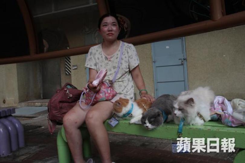 ■20樓住戶黃小姐稱用環保袋及洗衣袋抱着三隻愛貓逃生。潘志能攝 ■20樓住戶黃小姐稱用環保袋及洗衣袋抱着三隻愛貓逃生。潘志能攝
