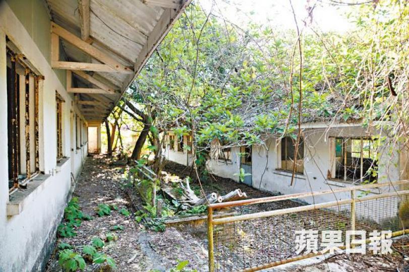 ■小學四周長滿雜草,地上佈滿電線及玻璃窗碎片。 ■小學四周長滿雜草,地上佈滿電線及玻璃窗碎片。