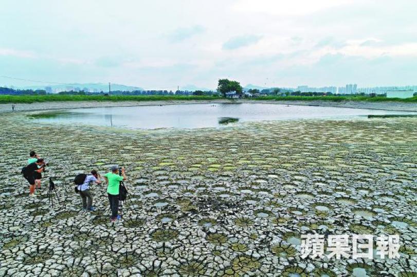 ■元朗大生圍漁民曬塘排出塘水,令魚塘乾枯出現龜裂。周志堅攝 ■元朗大生圍漁民曬塘排出塘水,令魚塘乾枯出現龜裂。周志堅攝