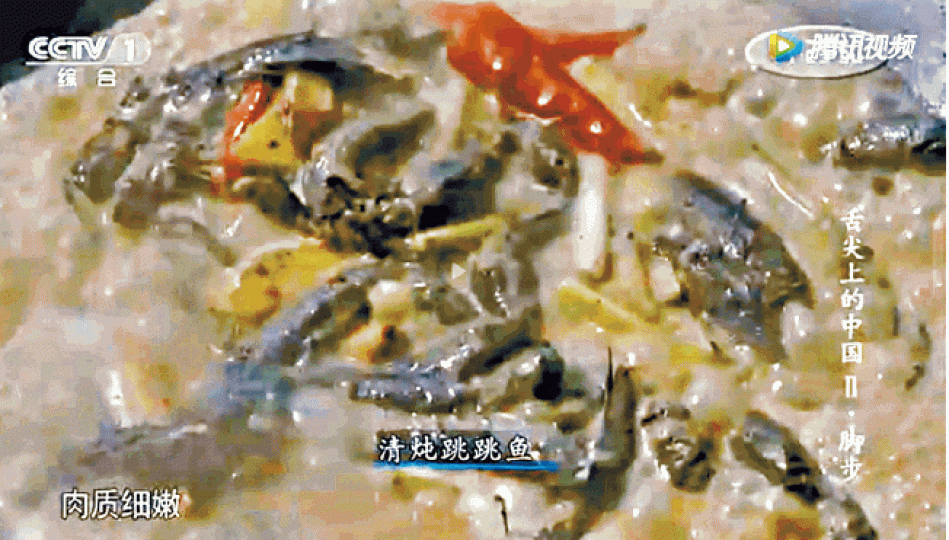 ■《舌尖上的中國2》介紹浙江漁民烹調彈塗魚並指鮮味無比，令彈塗魚在內地爆紅。互聯網■深圳福田一個街市有魚檔售賣生猛彈塗魚。張　軍攝