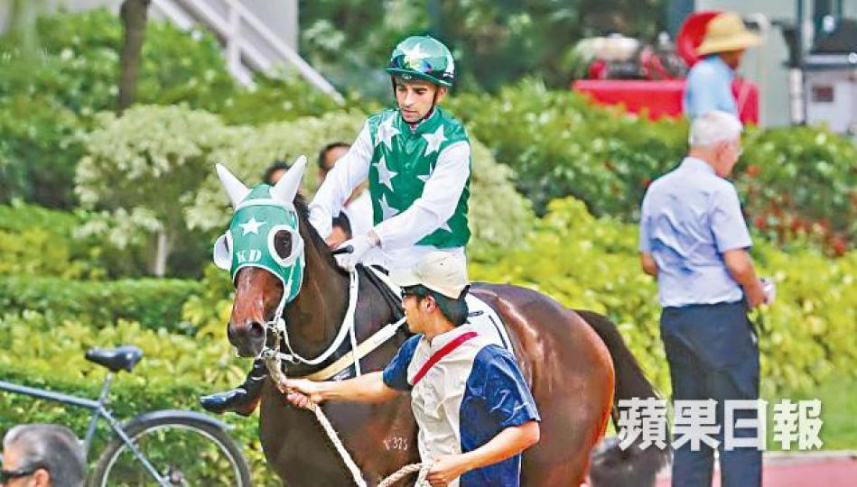 ■莫雷拉騎術精湛,偏偏性格巨星巴基之星不止一次玩謝雷神。■莫雷拉(藍衫)策騎佳龍駒在四歲系列賽擊敗巴基之星。 ■莫雷拉騎術精湛,偏偏性格巨星巴基之星不止一次玩謝雷神。■莫雷拉(藍衫)策騎佳龍駒在四歲系列賽擊敗巴基之星。
