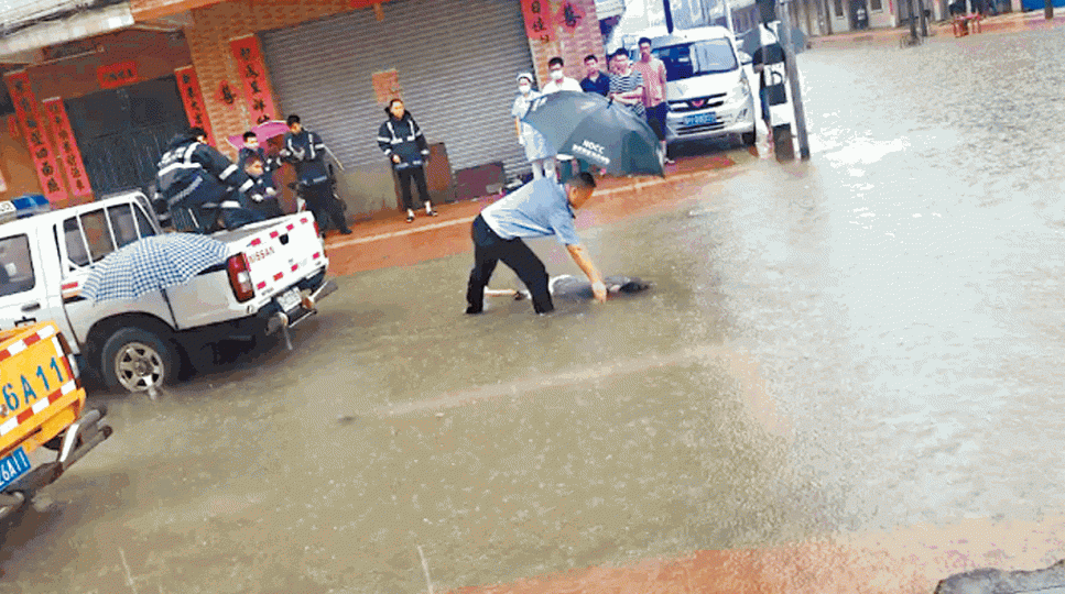 ■肇慶一名男子疑因觸電身亡。 ■肇慶一名男子疑因觸電身亡。