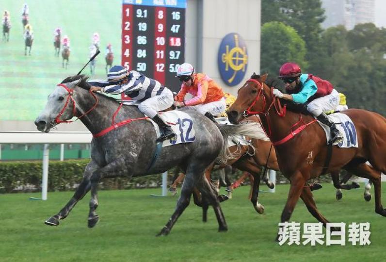 ■李運強名下擁有10匹馬,其中包括今季戰績彪炳的五十五十。資料圖片 ■李運強名下擁有10匹馬,其中包括今季戰績彪炳的五十五十。資料圖片