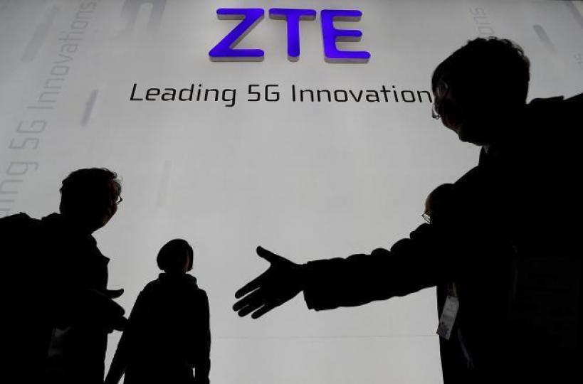 ■中興7隻牛證全部被打靶。 ■中興7隻牛證全部被打靶。