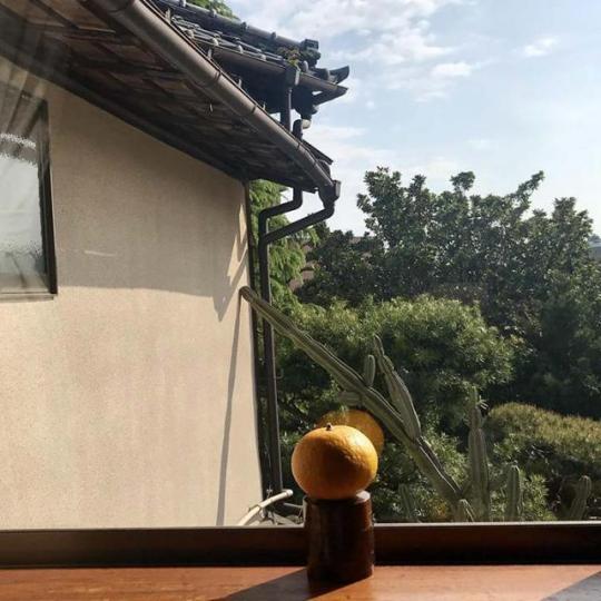 ■有賀女士在園子裏摘的果物,既像橘子又像柚子。 作者提供圖片 ■有賀女士在園子裏摘的果物,既像橘子又像柚子。 作者提供圖片