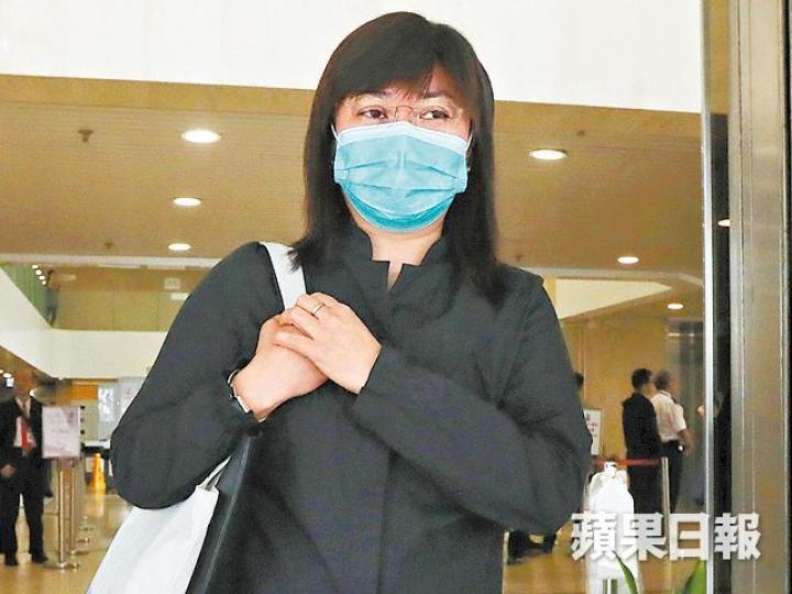 ■張海侖早前表示事發後始知林林已來港。 ■張海侖早前表示事發後始知林林已來港。