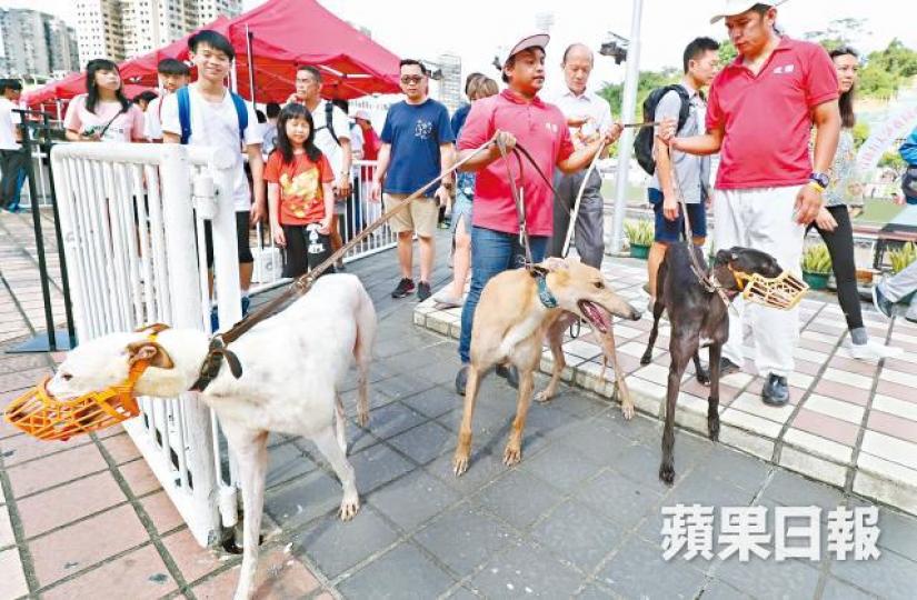 ■澳門逸園賽狗場逾600隻格力犬去向一直備受關注,昨第二次舉辦領養日,吸引逾百人到場。李錦鏵攝■有到場人士在賽狗場投注站內拍照留念。 ■澳門逸園賽狗場逾600隻格力犬去向一直備受關注,昨第二次舉辦領養日,吸引逾百人到場。李錦鏵攝■有到場人士在賽狗場投注站內拍照留念。