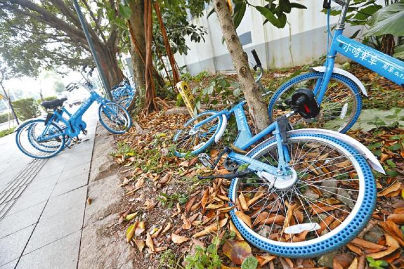■深圳市共享單車淪為垃圾。
■深圳市共享單車淪為垃圾。