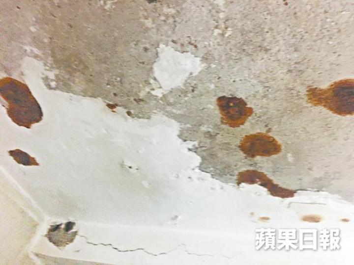 ■金獅花園一個殘裝盤的天花石屎剝落,甚至見到鋼筋。
■金獅花園一個殘裝盤的天花石屎剝落,甚至見到鋼筋。
