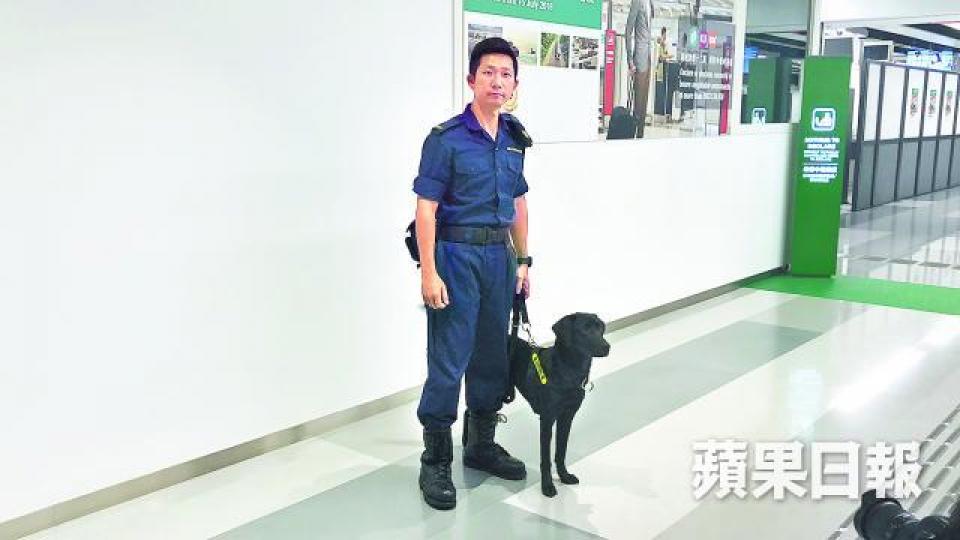 ■海關早前在英國訓練4隻搜鈔犬,將派到不同管制站協助執法。 ■海關早前在英國訓練4隻搜鈔犬,將派到不同管制站協助執法。