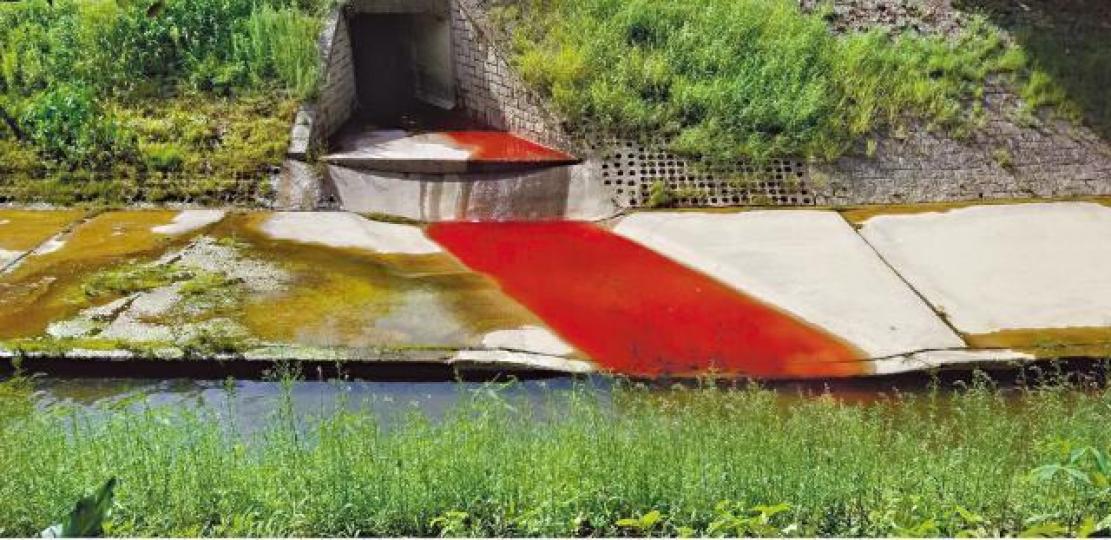 ■粉嶺麻芴河水被染紅,嚴重影響生態環境。方國珊提供圖片 ■粉嶺麻芴河水被染紅,嚴重影響生態環境。方國珊提供圖片