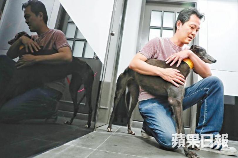 ■獲港人領養的冠軍賽狗「暴風女神」,暫時需寄養澳門寵物店。■這兩隻格力狗已被澳門保護動物團體領養。■暴風女神前腳有水瘤需定期放水,估計是以前在狗場訓練及瞓硬地所致。 ■獲港人領養的冠軍賽狗「暴風女神」,暫時需寄養澳門寵物店。■這兩隻格力狗已被澳門保護動物團體領養。■暴風女神前腳有水瘤需定期放水,估計是以前在狗場訓練及瞓硬地所致。
