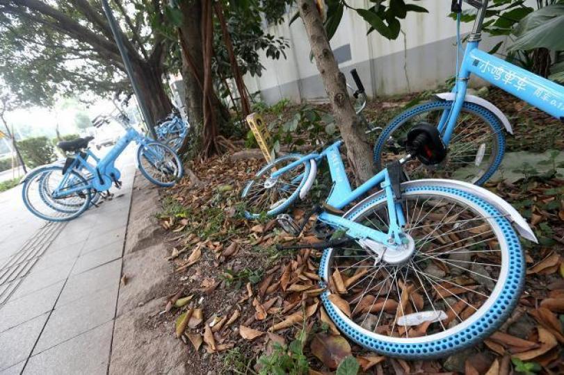 ■內地「小鳴單車」有效的債權人達11萬個。資料圖片 ■內地「小鳴單車」有效的債權人達11萬個。資料圖片