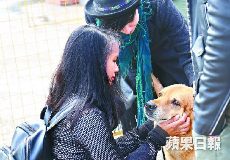 ■流浪狗入住收容中心,獲義工悉心照顧。禤家民攝■一眾狗狗由義工帶出街散步,顯得十分雀躍。■在索契街頭上,流浪狗蹤影隨處可見。互聯網 ■流浪狗入住收容中心,獲義工悉心照顧。禤家民攝■一眾狗狗由義工帶出街散步,顯得十分雀躍。■在索契街頭上,流浪狗蹤影隨處可見。互聯網