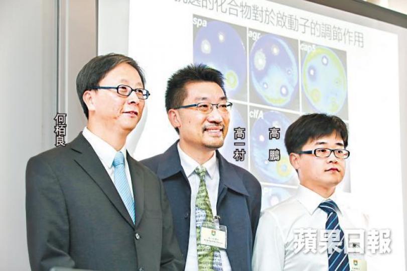 ■港大研究團隊稱冀能研發出非抗生素的治療MRSA藥物。李家皓攝 ■港大研究團隊稱冀能研發出非抗生素的治療MRSA藥物。李家皓攝