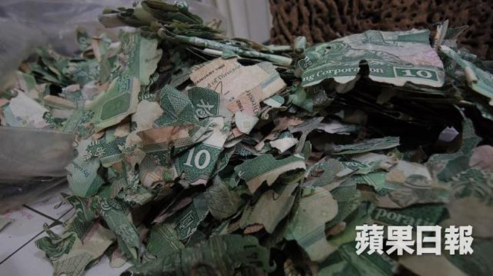 ■強叔曾有客人夾萬內整叠新鈔票被白蟻蛀成碎紙。麥超億攝 ■強叔曾有客人夾萬內整叠新鈔票被白蟻蛀成碎紙。麥超億攝