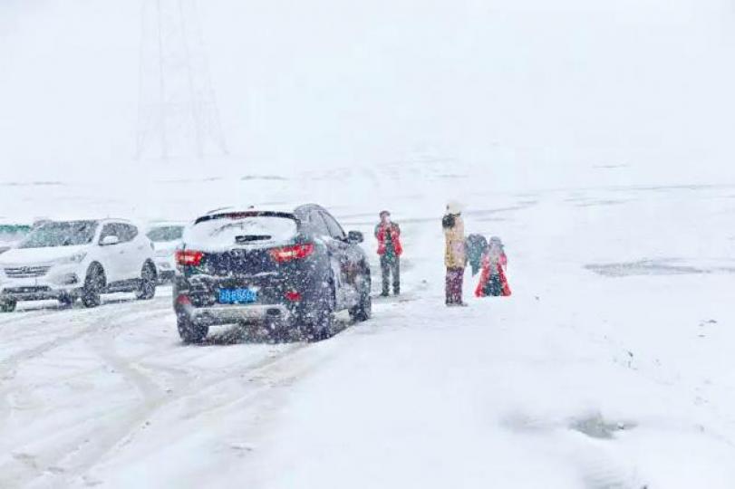 ■自駕遊旅客下車拍攝雪景。■青海遍地白雪。 ■自駕遊旅客下車拍攝雪景。■青海遍地白雪。