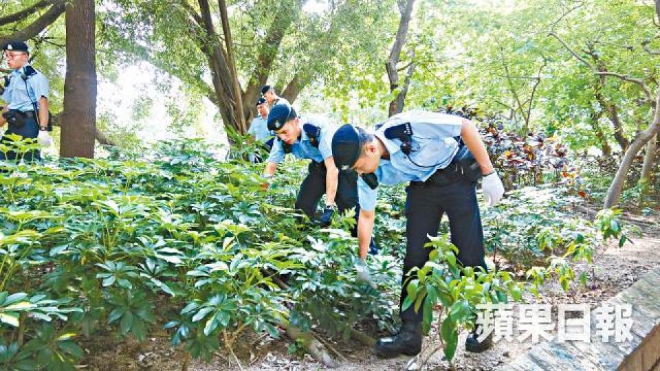 ■警員在通州街橋底花槽地毯式搜索。簡明恩攝 ■警員在通州街橋底花槽地毯式搜索。簡明恩攝