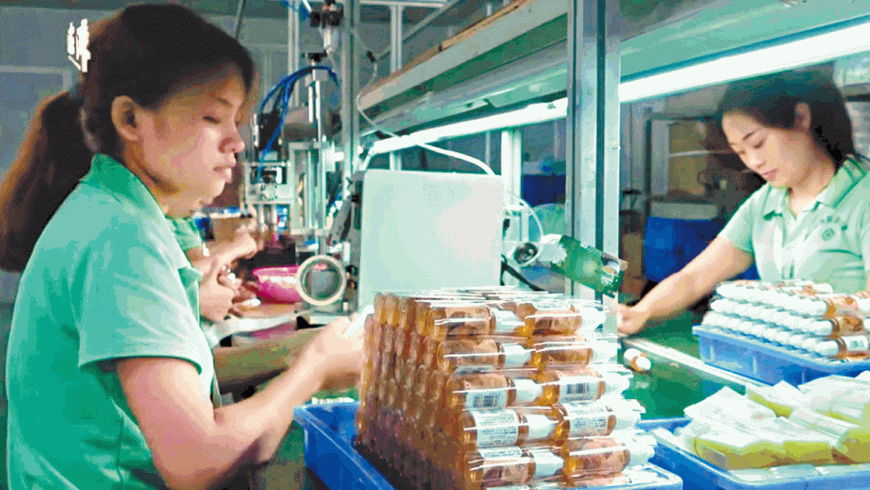 ■深圳是全球生產電子煙的大本營,佔全球市場約九成。 ■深圳是全球生產電子煙的大本營,佔全球市場約九成。