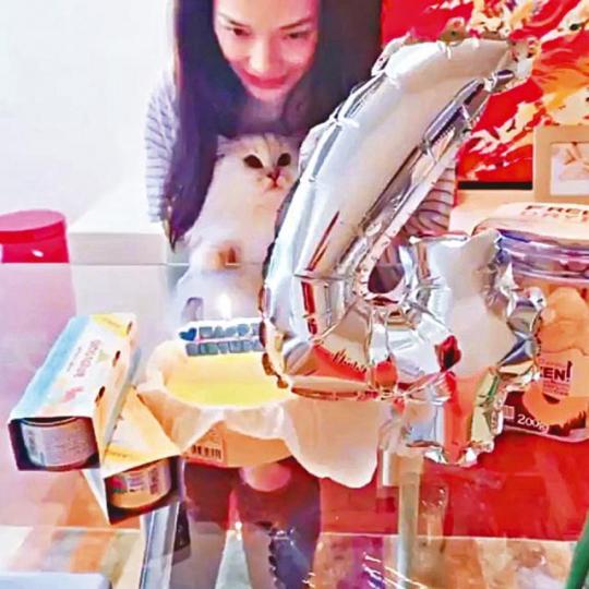 互聯網圖片 互聯網圖片