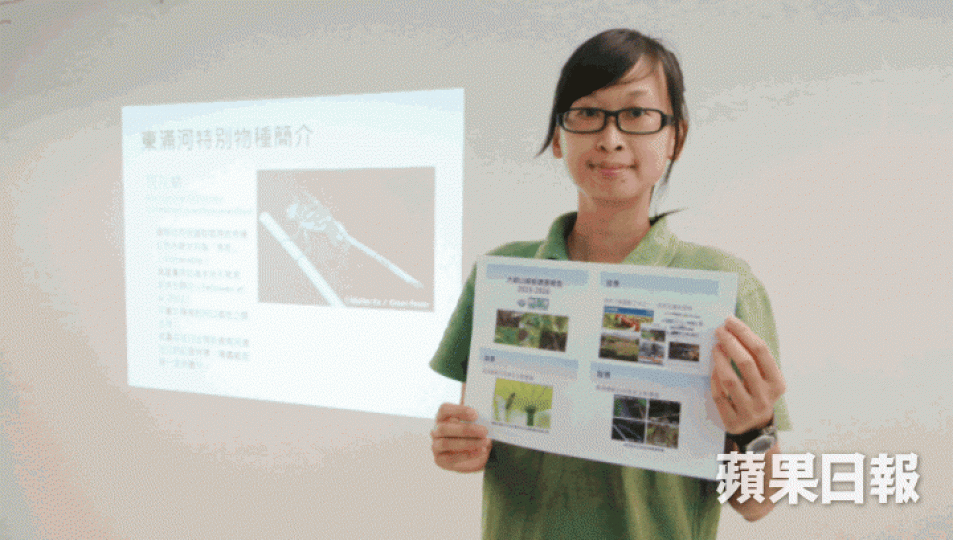 ■綠色力量袁欣鈴建議,政府應避免在天然河床等作挖掘等工程,以保護蜻蜓生長環境。袁志中攝 ■綠色力量袁欣鈴建議,政府應避免在天然河床等作挖掘等工程,以保護蜻蜓生長環境。袁志中攝