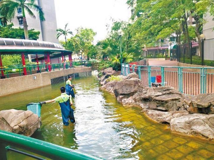 ■天耀邨管理公司派人落水池疑清理蝌蚪。香港動物報提供圖片 ■天耀邨管理公司派人落水池疑清理蝌蚪。香港動物報提供圖片