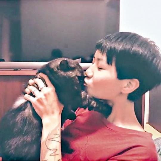 ■盧凱彤離世後,留下了15歲的愛貓蘇菲陪伴愛人。互聯網圖片■15歲老貓蘇菲是盧凱彤的心靈雞湯,曾陪主人走過抑鬱陰霾。互聯網圖片■除了蘇菲,盧凱彤還養了幾隻貓貓,她不時在網上分享與愛貓的點滴。互聯網圖片互聯網圖片■小余是拍攝at17的MV時,與盧凱彤一見鍾情的。資料圖片■有歌迷將鮮花放在偶像生前寓所作悼念,而鮮花旁有一隻螳螂(小圖)伏在牆邊不離去。攝影:林賓尼■盧凱彤生前與林一峰、林二汶兩兄妹合作無間。 ■盧凱彤離世後,留下了15歲的愛貓蘇菲陪伴愛人。互聯網圖片■15歲老貓蘇菲是盧凱彤的心靈雞湯,曾陪主人走過抑鬱陰霾。互聯網圖片■除了蘇菲,盧凱彤還養了幾隻貓貓,她不時在網上分享與愛貓的點滴。互聯網圖片互聯網圖片■小余是拍攝at17的MV時,與盧凱彤一見鍾情的。資料圖片■有歌迷將鮮花放在偶像生前寓所作悼念,而鮮花旁有一隻螳螂(小圖)伏在牆邊不離去。攝影:林賓尼■盧凱彤生前與林一峰、林二汶兩兄妹合作無間。