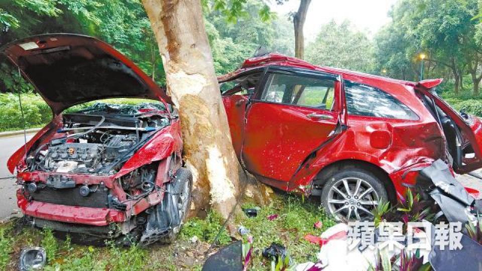 ■肇事七人車猛撼路邊大樹,車身攔腰劏開。 ■肇事七人車猛撼路邊大樹,車身攔腰劏開。