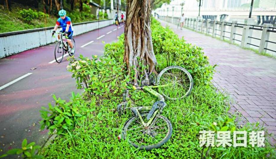 gobee.bike宣佈清盤結業後,不少共享單車被遺棄路旁。「沙田脈搏」召集人林宇星指多架單車損壞無法用清餘額;旁為同組織的羅健勤及張柏源。陸羽平攝 gobee.bike宣佈清盤結業後,不少共享單車被遺棄路旁。「沙田脈搏」召集人林宇星指多架單車損壞無法用清餘額;旁為同組織的羅健勤及張柏源。陸羽平攝