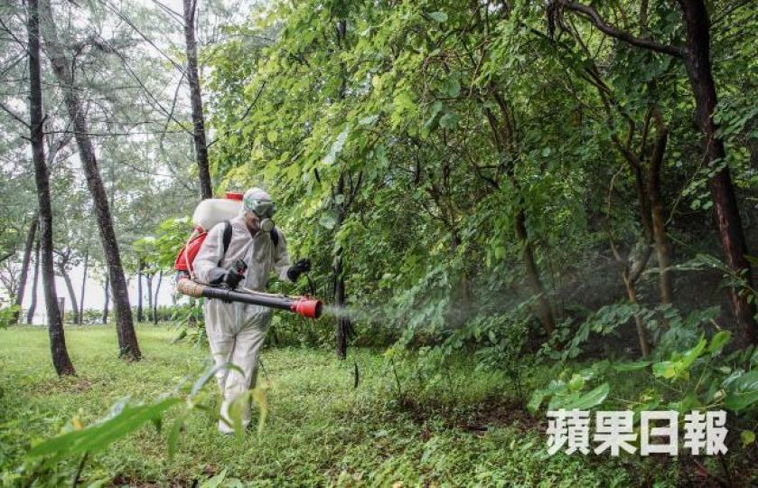 林鄭月娥指會加強滅蚊工作。資料圖片 林鄭月娥指會加強滅蚊工作。資料圖片