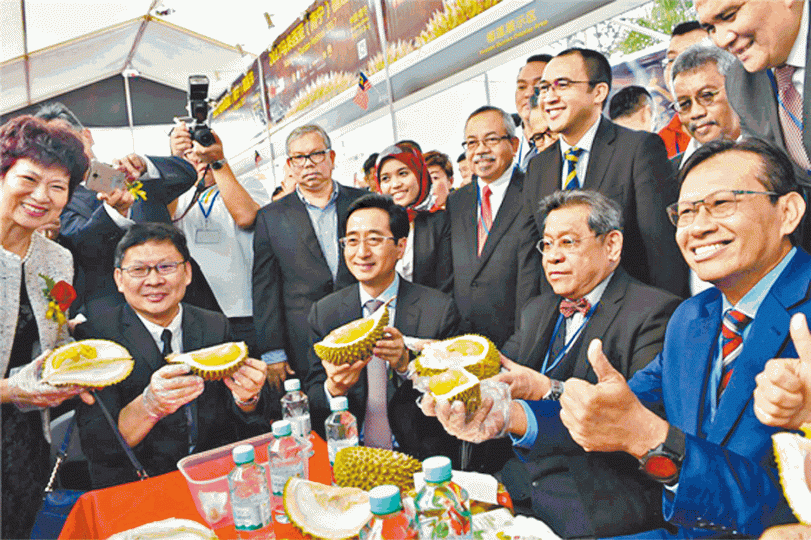 大馬官員早前到中國推銷貓山王。 大馬官員早前到中國推銷貓山王。