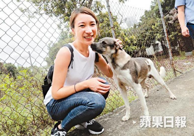 江美婷促政府妥善安置新界東北受影響的動物。 江美婷促政府妥善安置新界東北受影響的動物。