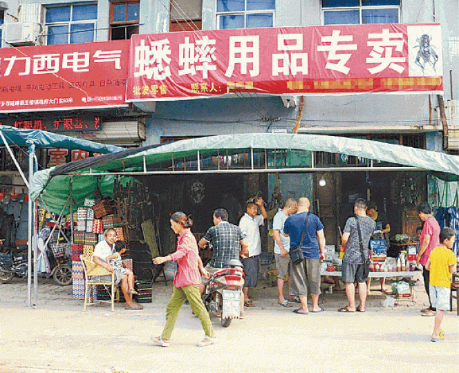 延津縣開設不少蟋蟀用品專賣店。
延津縣開設不少蟋蟀用品專賣店。