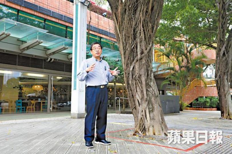 詹志勇指香港不少樹根被石屎包圍，難吸取養份健康成長。