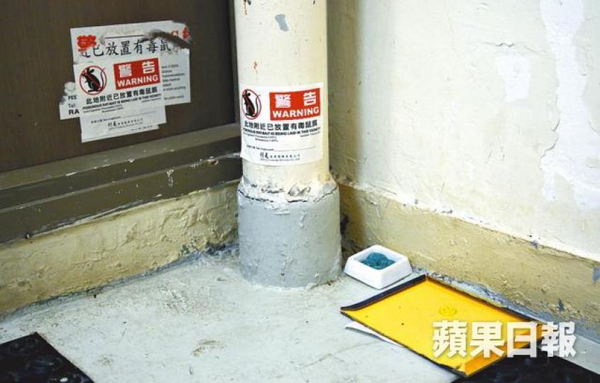 管理公司在梯間放鼠餌及捕鼠膠板,但無寫上日期。袁志中攝 管理公司在梯間放鼠餌及捕鼠膠板,但無寫上日期。袁志中攝